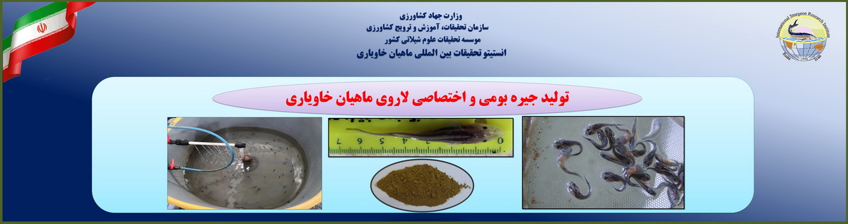 Slide4.jpg