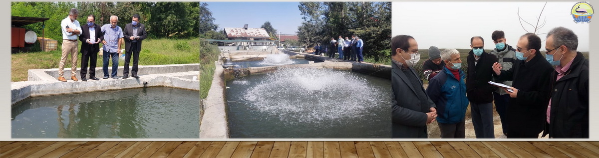 Slide2_resize.JPG
