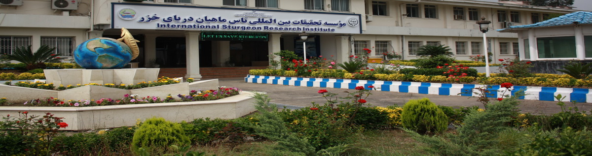 ISRI.jpgwebsite.jpg