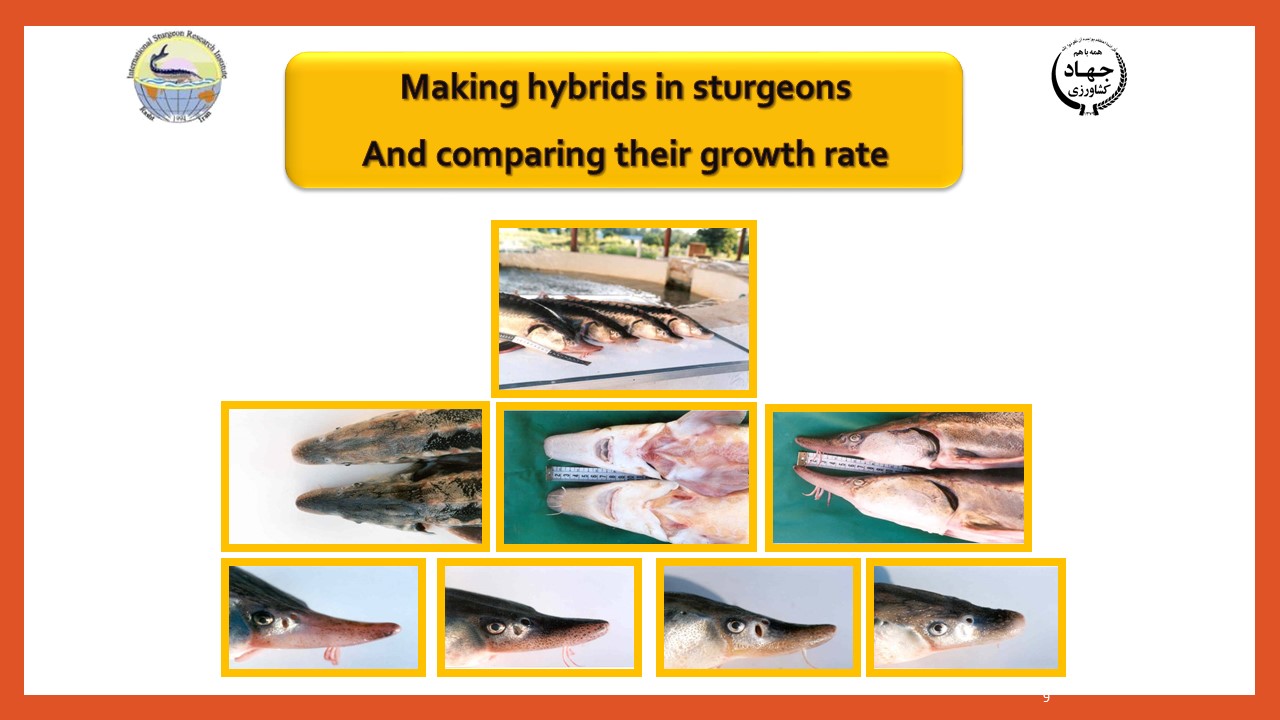 Slide9.JPG