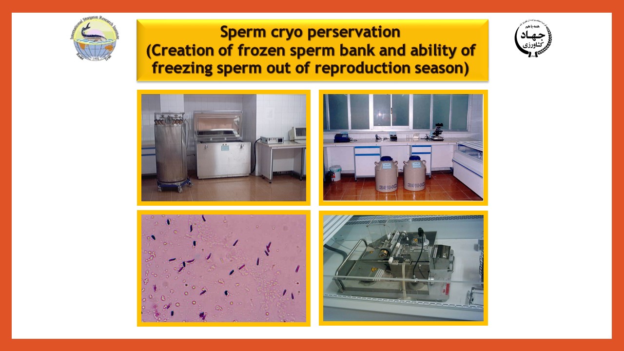 Slide8.JPG